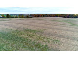 Property photo 13 - FARM AUCTION - 60.5+/- ACRES IN 5 TRACTS IN ALLEN COUNTY, INDIANA